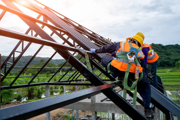 Best New Roof Installation  in Lake Fenton, MI
