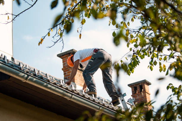 Best Roof Gutter Cleaning  in Lake Fenton, MI