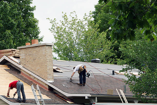 Best Storm Damage Roof Repair  in Lake Fenton, MI