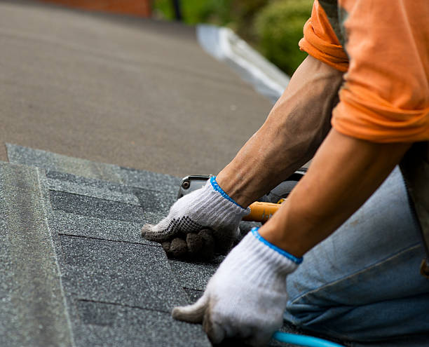 Best New Roof Installation  in Lake Fenton, MI